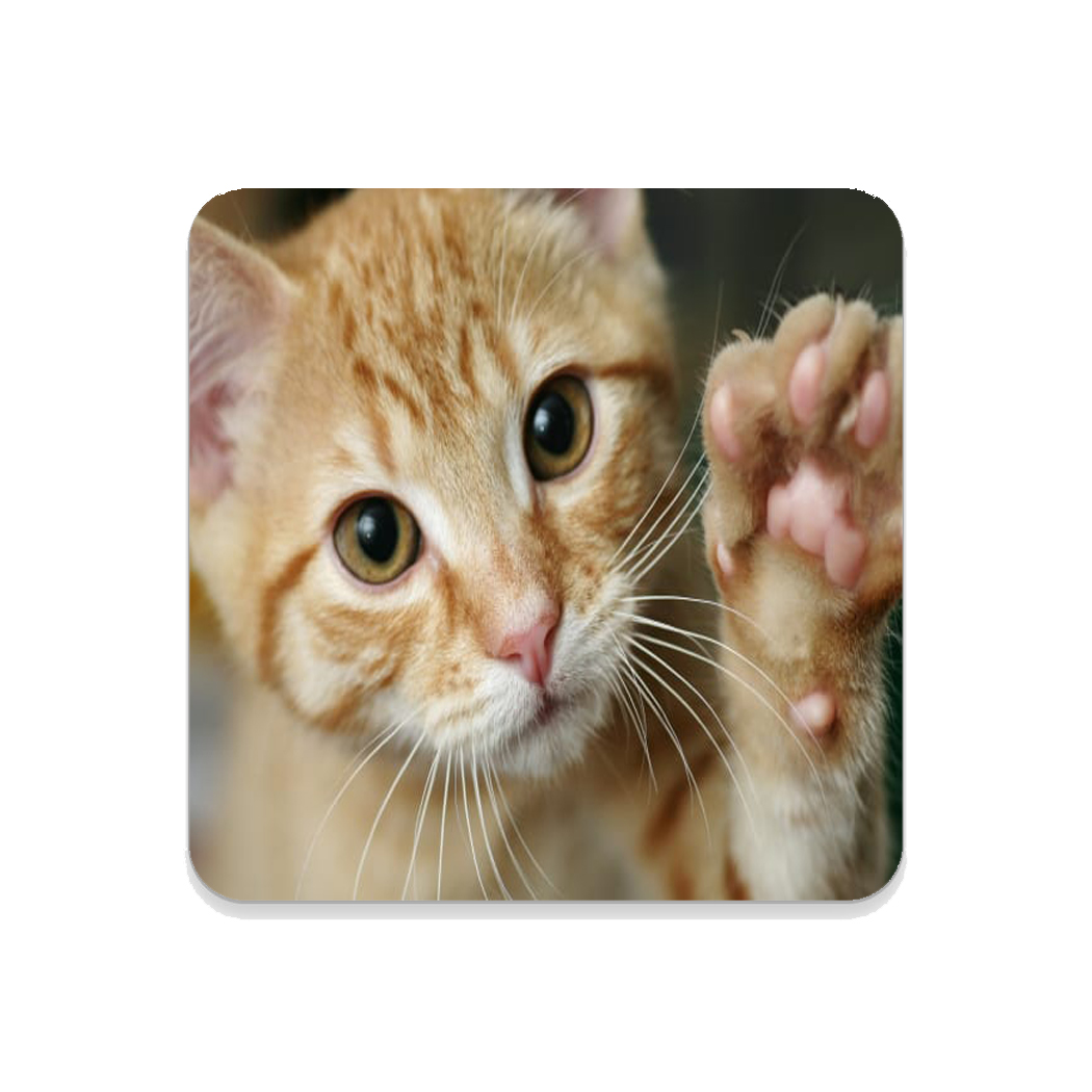 Personalised Photo Coaster Square 9 cm