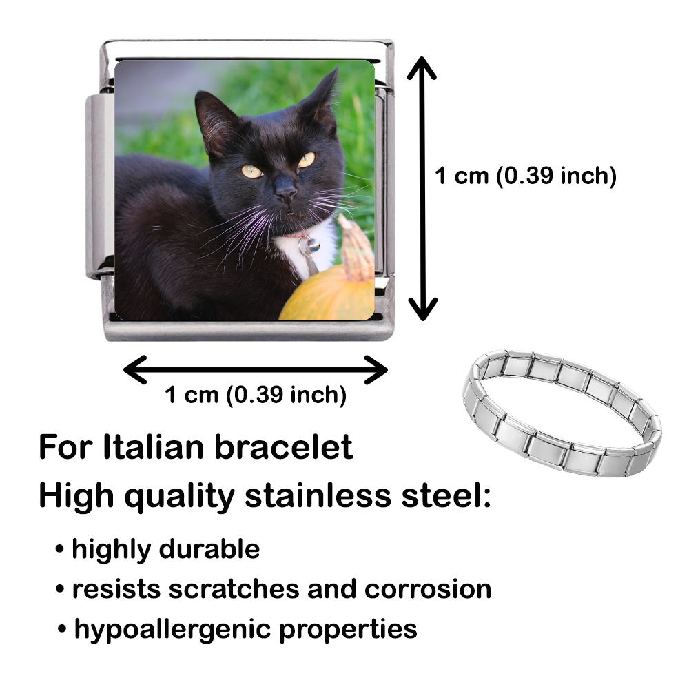 Personalised DOG Photo Charm Link fits all classic 9mm Italian style Bracelets 