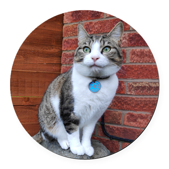 Personalised Photo Coaster Round 9 cm