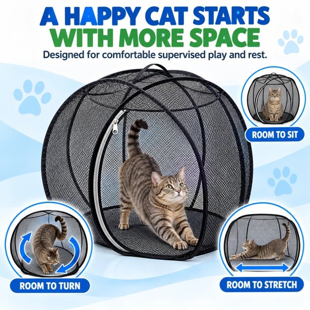 Rolling Cat Playpen Ball