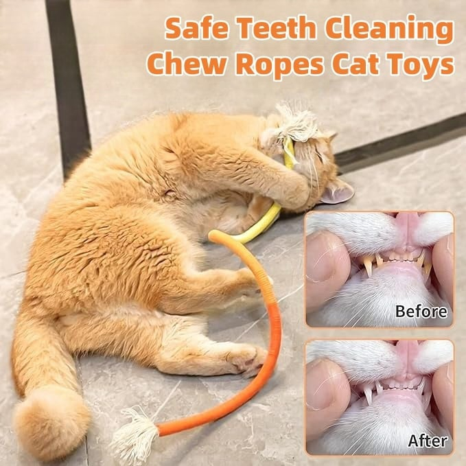 🔥🐱3 PCS Cat Toys Chew Ropes