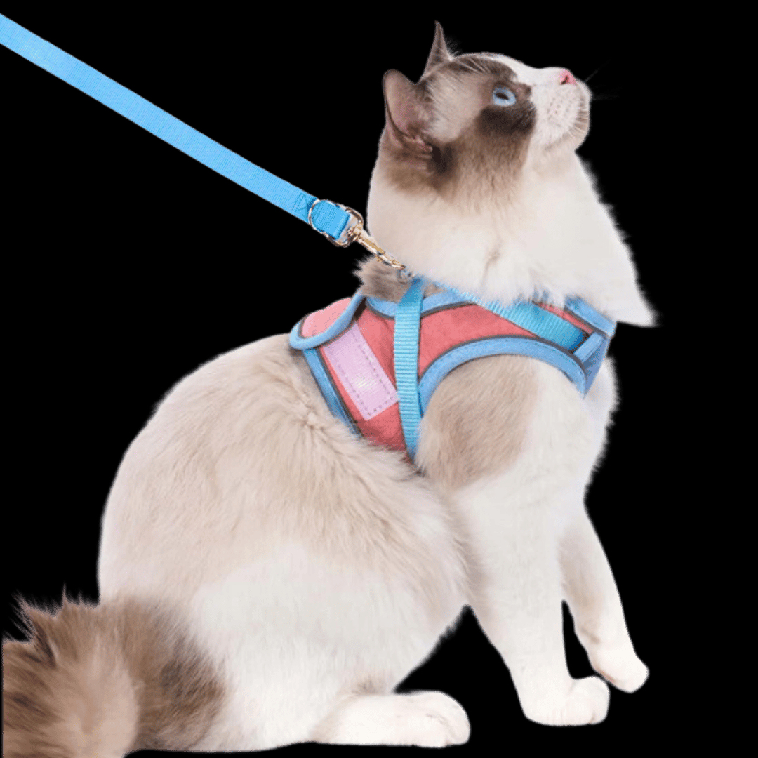 🔥Prevent the cat from breaking free from the leash😺✨