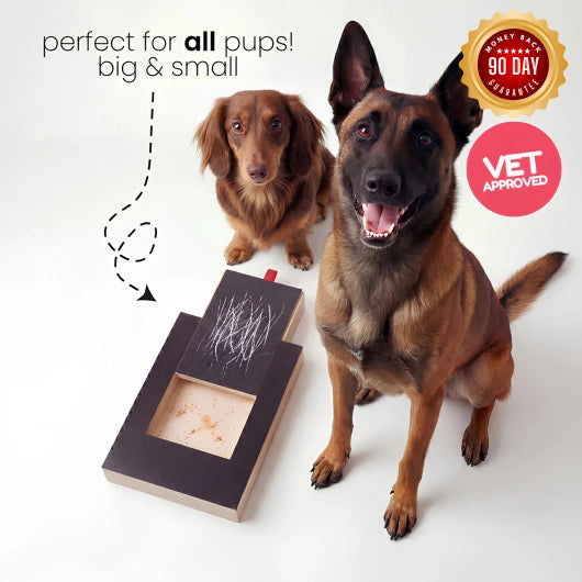 Dog Nail Scratch Board