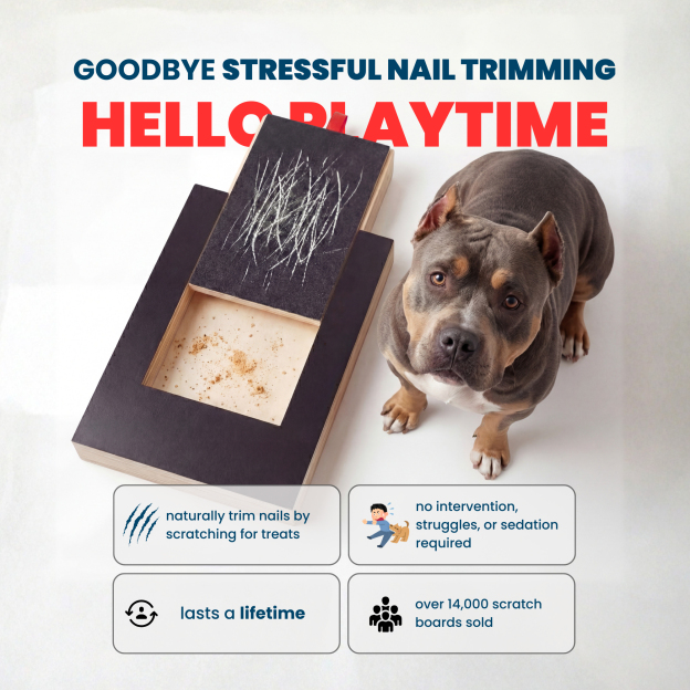 Dog Nail Scratch Board - with Treat Draw- Dog Scratch Pad for Nails – Durable Wooden Nail Filing Board with Treat Drawer