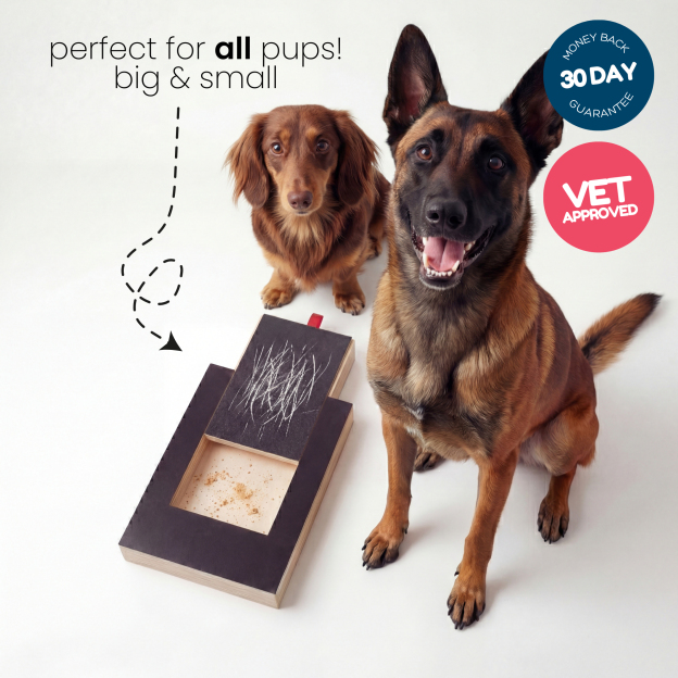 Dog Nail Scratch Board - with Treat Draw- Dog Scratch Pad for Nails – Durable Wooden Nail Filing Board with Treat Drawer