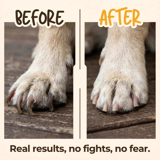 Dog Nail Scratch Board