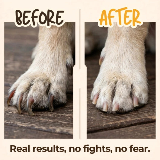 Dog Nail Scratch Board