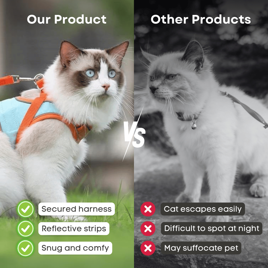 🔥Prevent the cat from breaking free from the leash😺✨