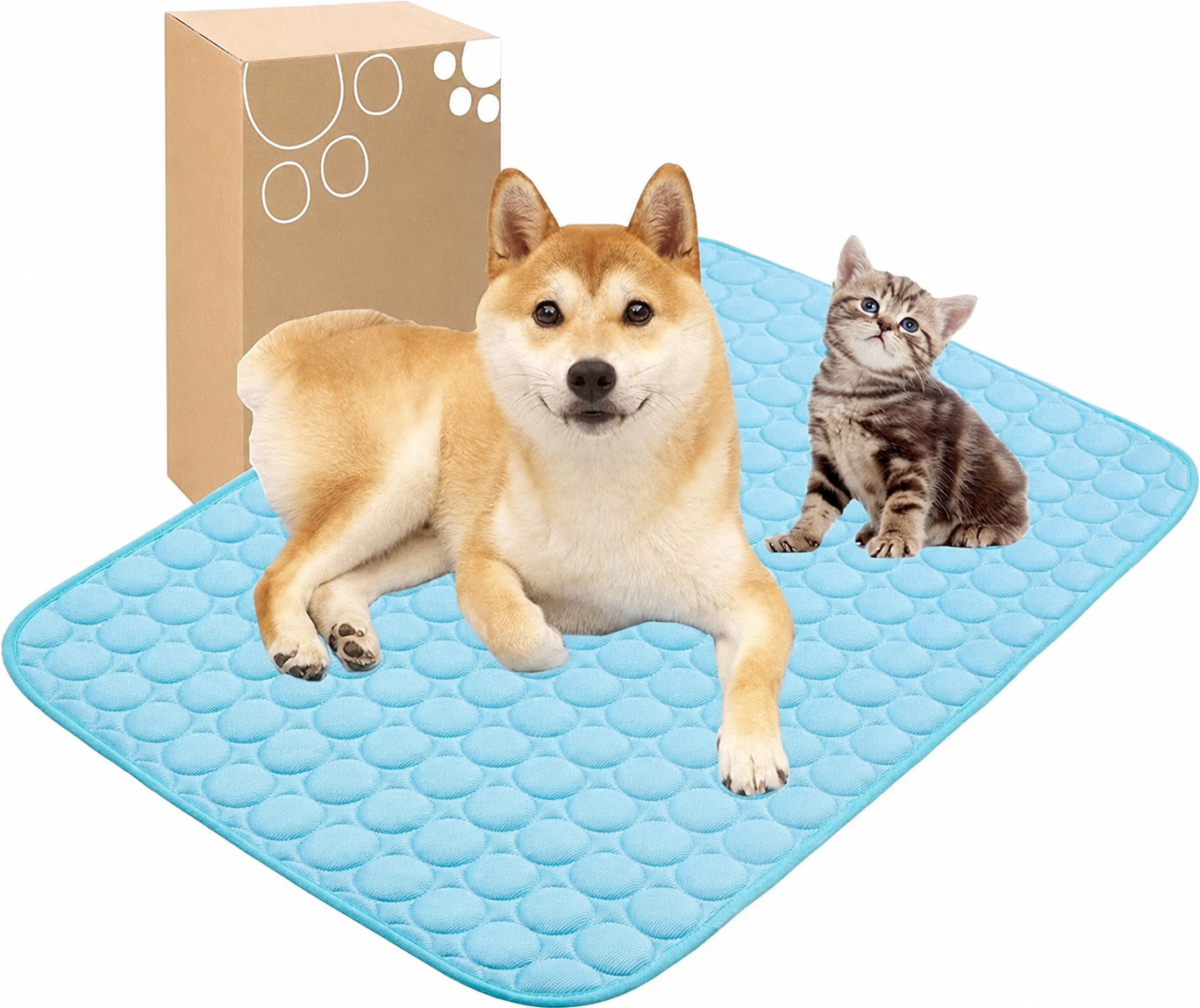 🔥🔥Hot Sale 🧊Dog Cooling Mat 
