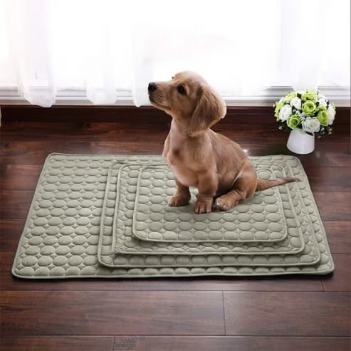 🔥🔥Hot Sale 🧊Dog Cooling Mat (4x more effective) 