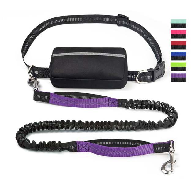 🔥Summer Hot Sale - Hands Free Dog Leash with Zipper Pouch🐕