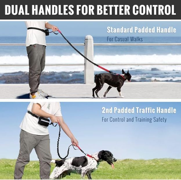 🔥Summer Hot Sale - Hands Free Dog Leash with Zipper Pouch🐕