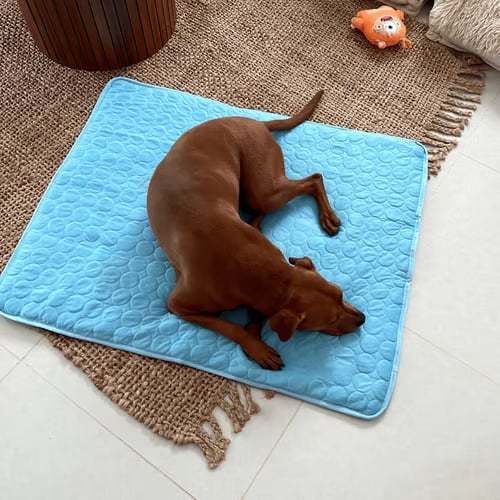 🔥🔥Hot Sale 🧊Dog Cooling Mat (4x more effective) 