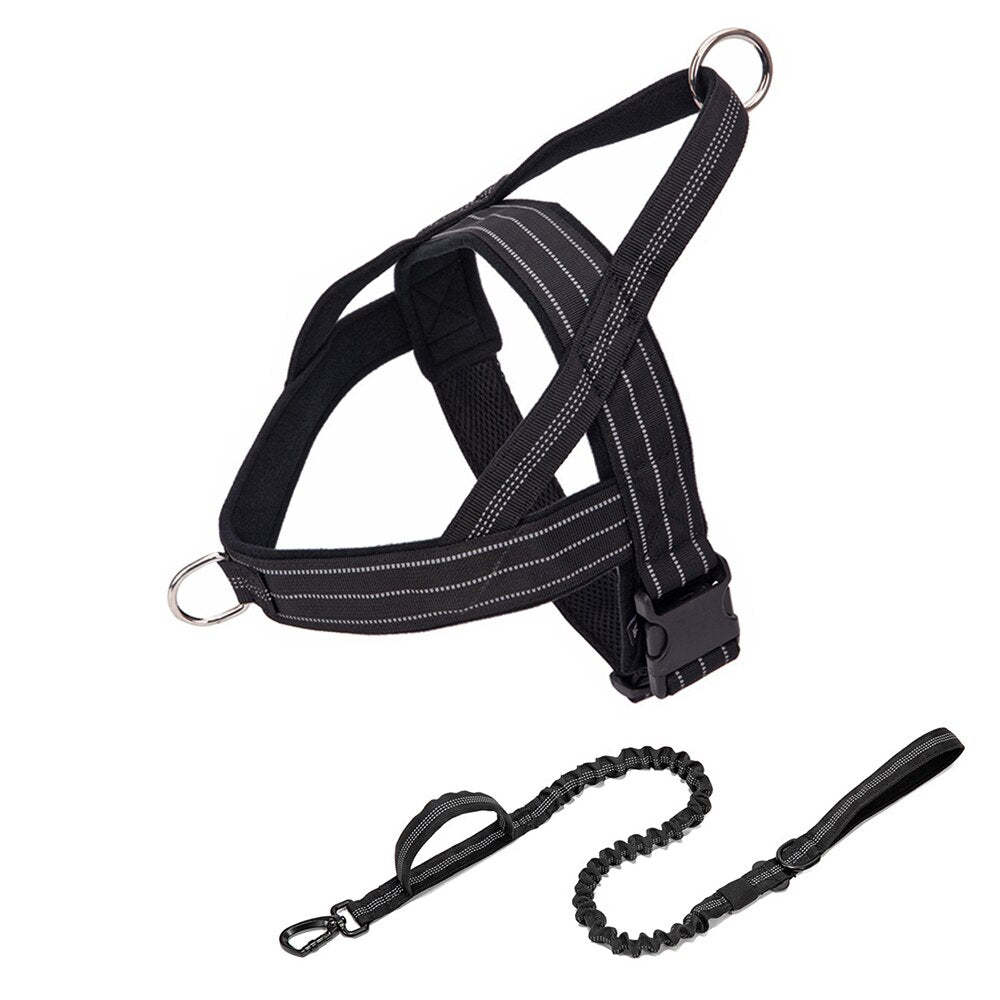 Luminous Dog Harness and Leash Set for K9 Service Dog Training - Perfect German Shepherd Vest for Medium to Large Dogs