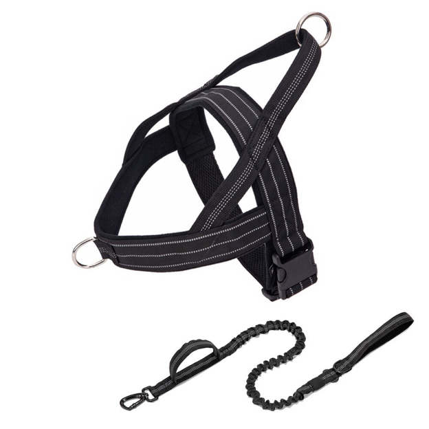 Luminous Dog Harness and Leash Set for K9 Service Dog Training - Perfect German Shepherd Vest for Medium to Large Dogs