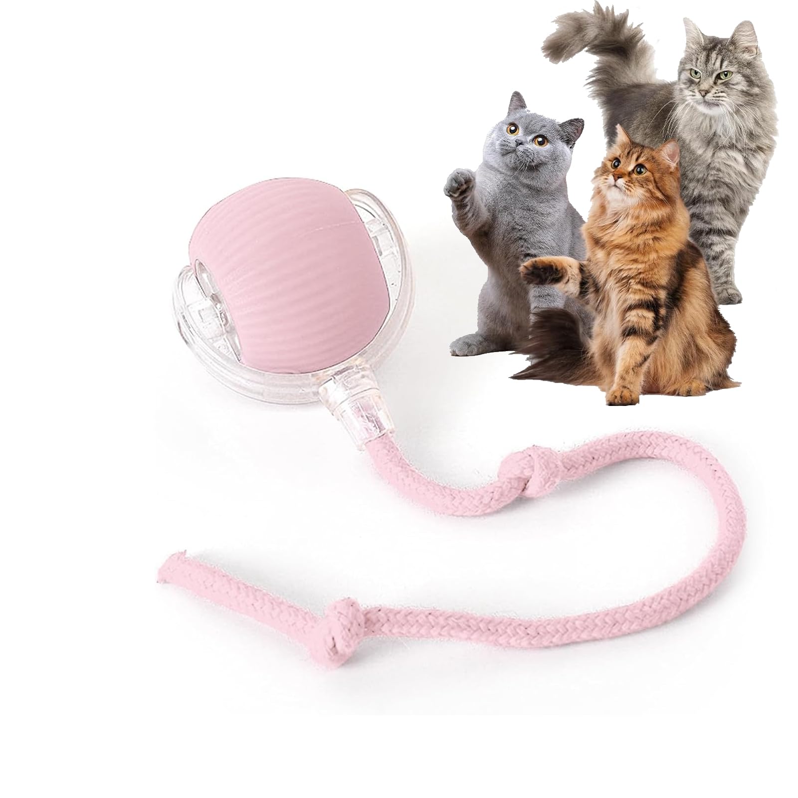 cat-balls