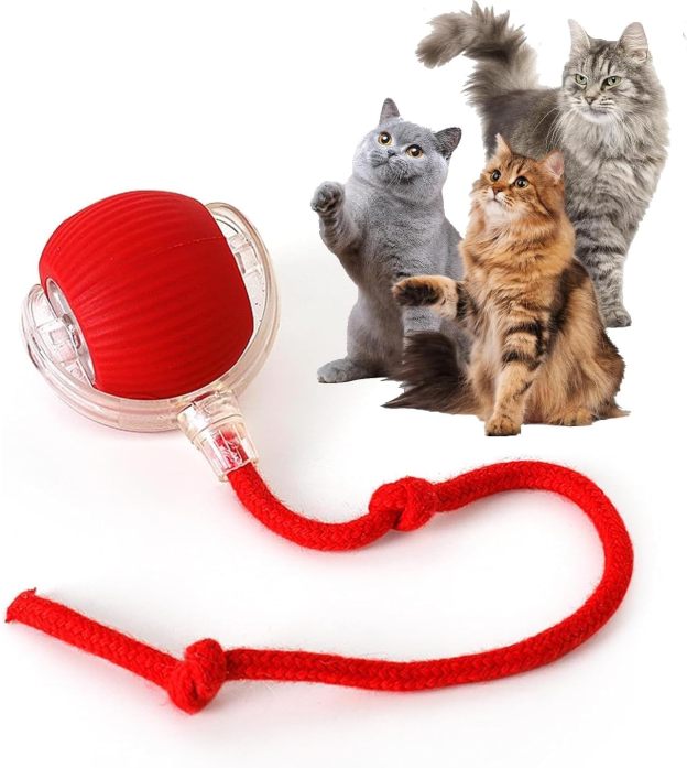 cat-balls