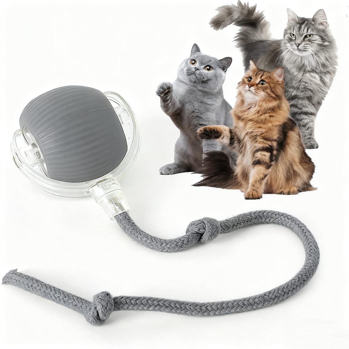cat-balls