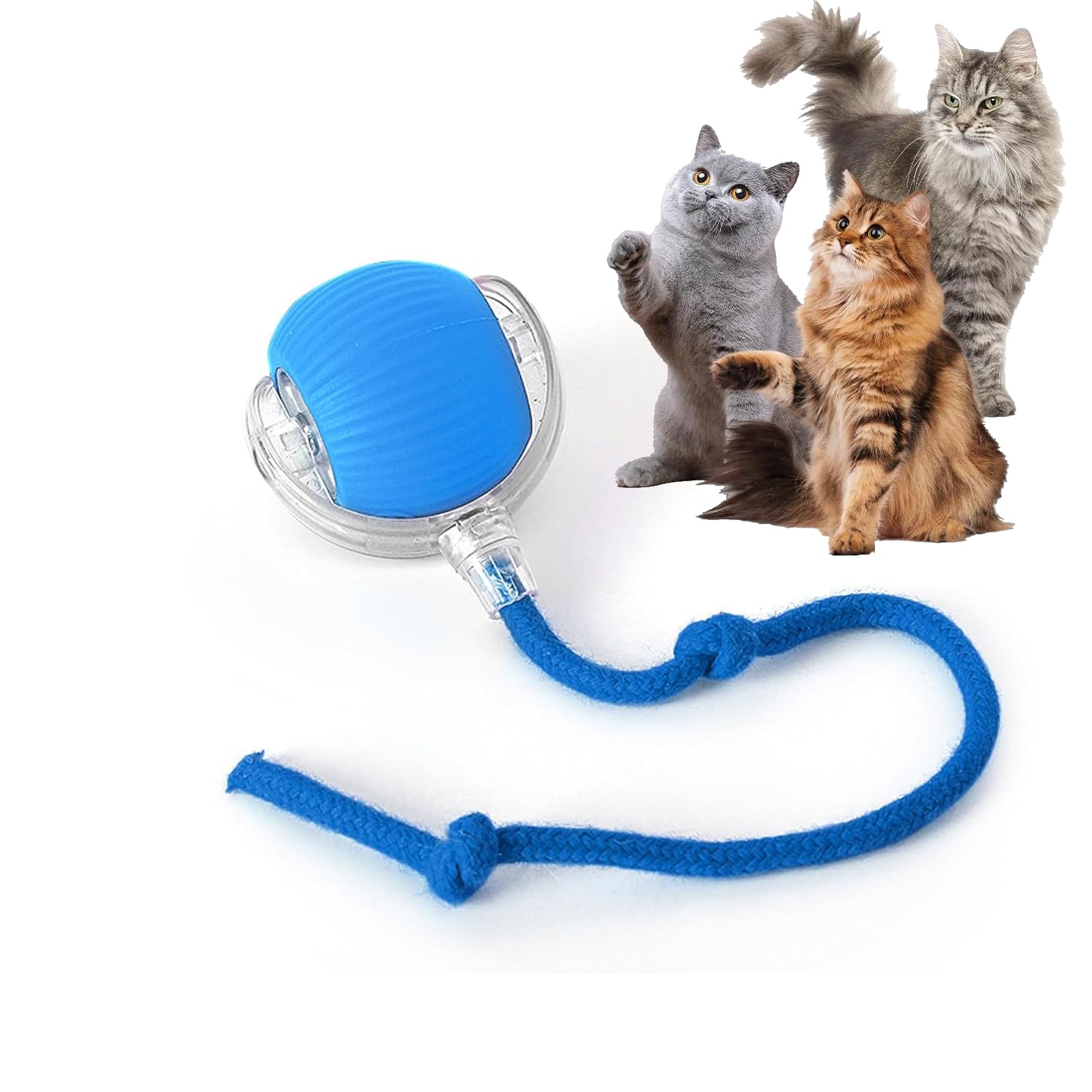cat-balls