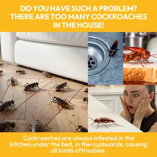 🪳 Roach Killer Gel & Bait Stations – Indoor Trap for German, American & Major Cockroaches
