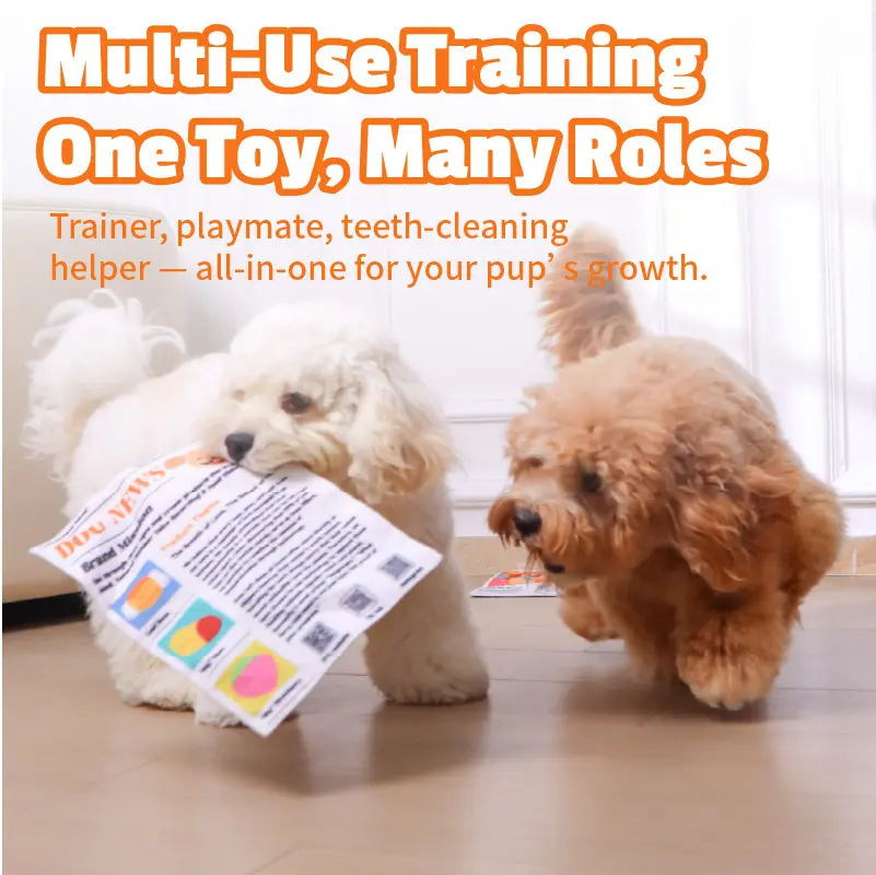 Durable Interactive Dog Toy 🐶 – Washable, Quick-Dry & Fun 🦷