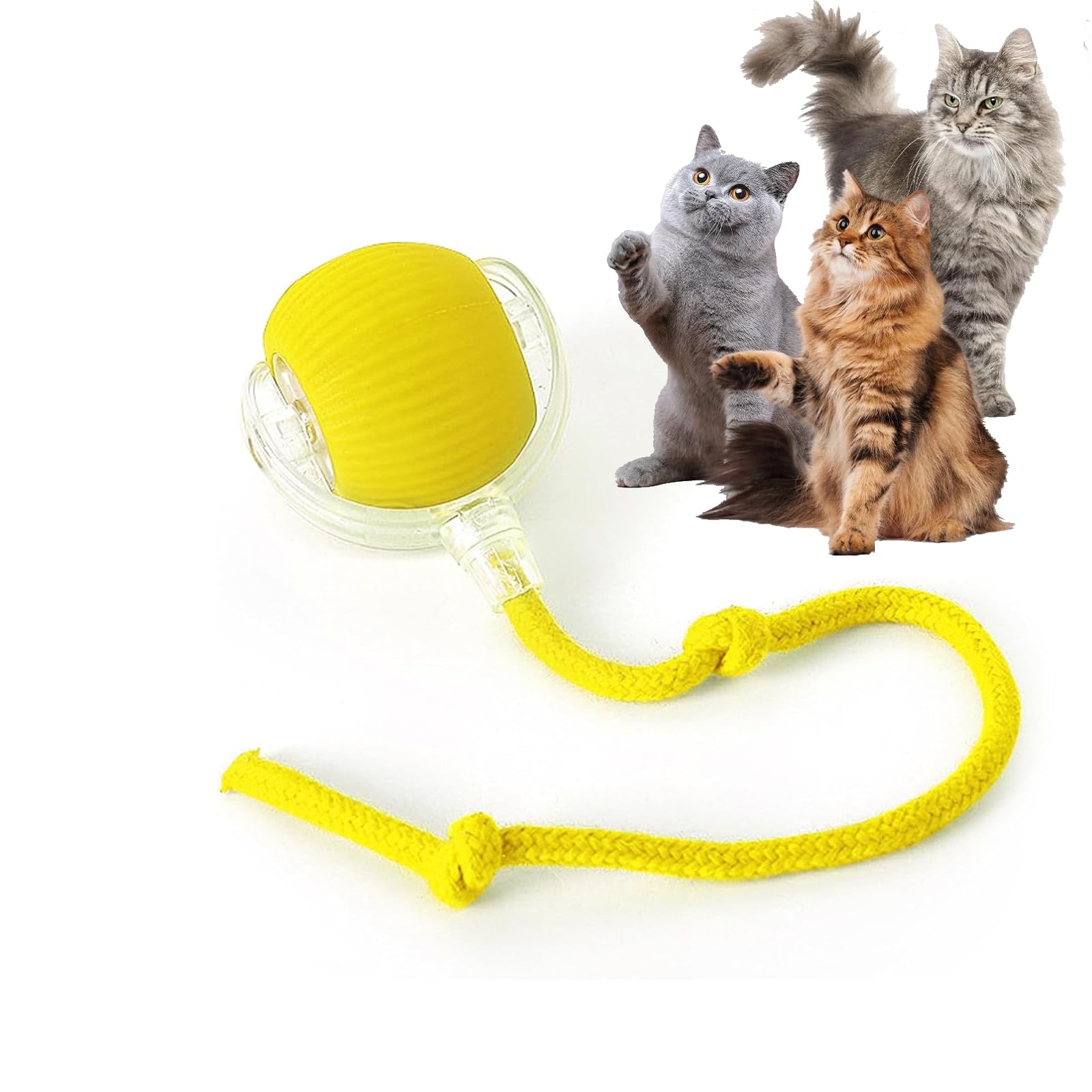 cat-balls