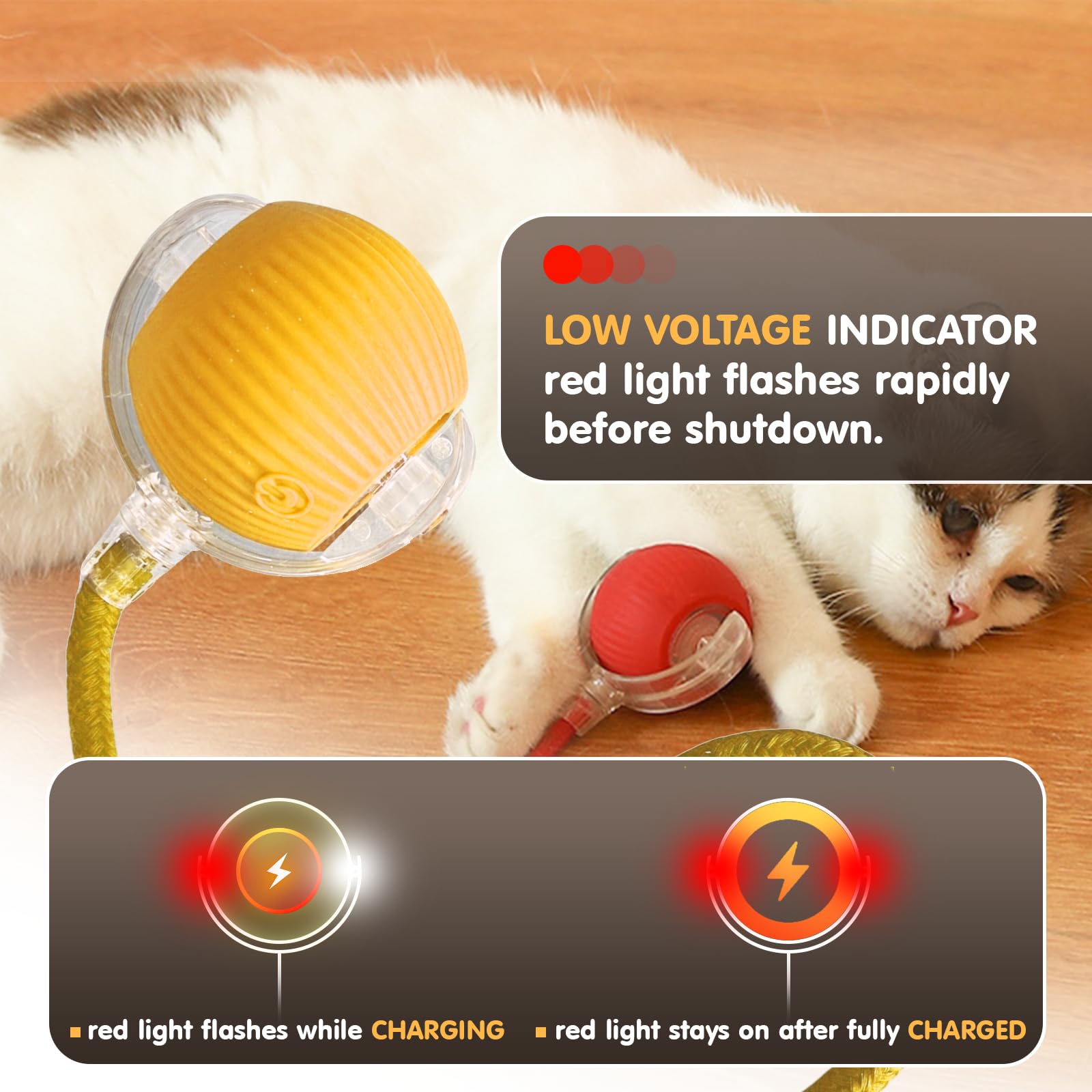 cat-balls
