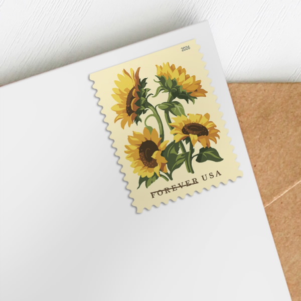 2026 Sunflowers
