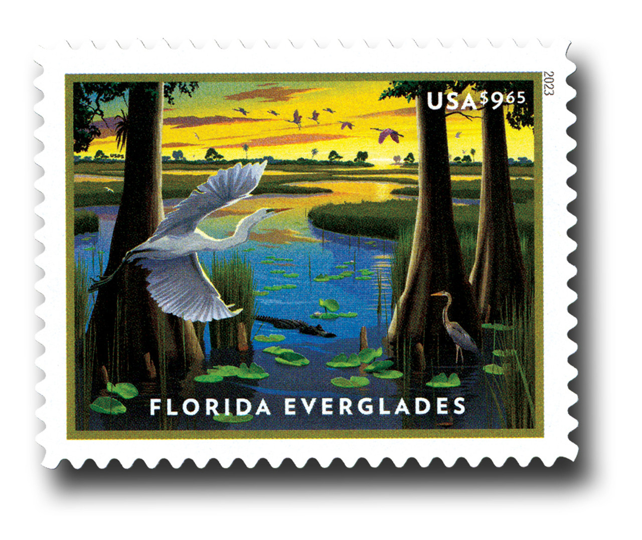 2023 Florida Everglades