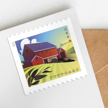 Barns(2021)