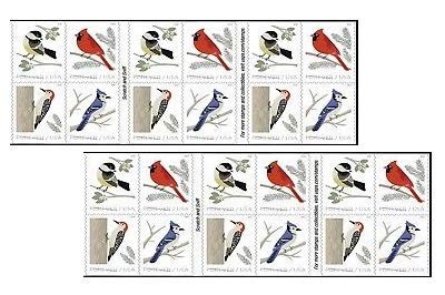 2018 Birds in Winter