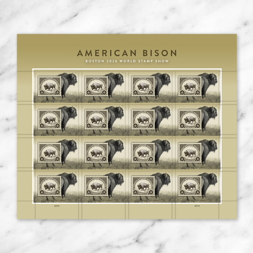 2026 American Bison