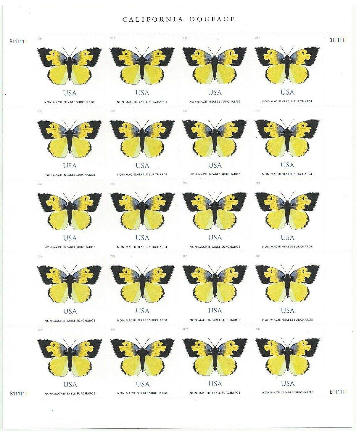 2019 US California Dogface Butterfly