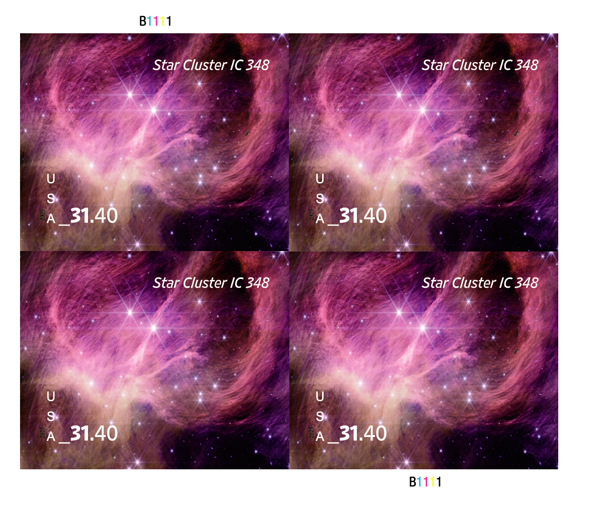2025 Star Cluster