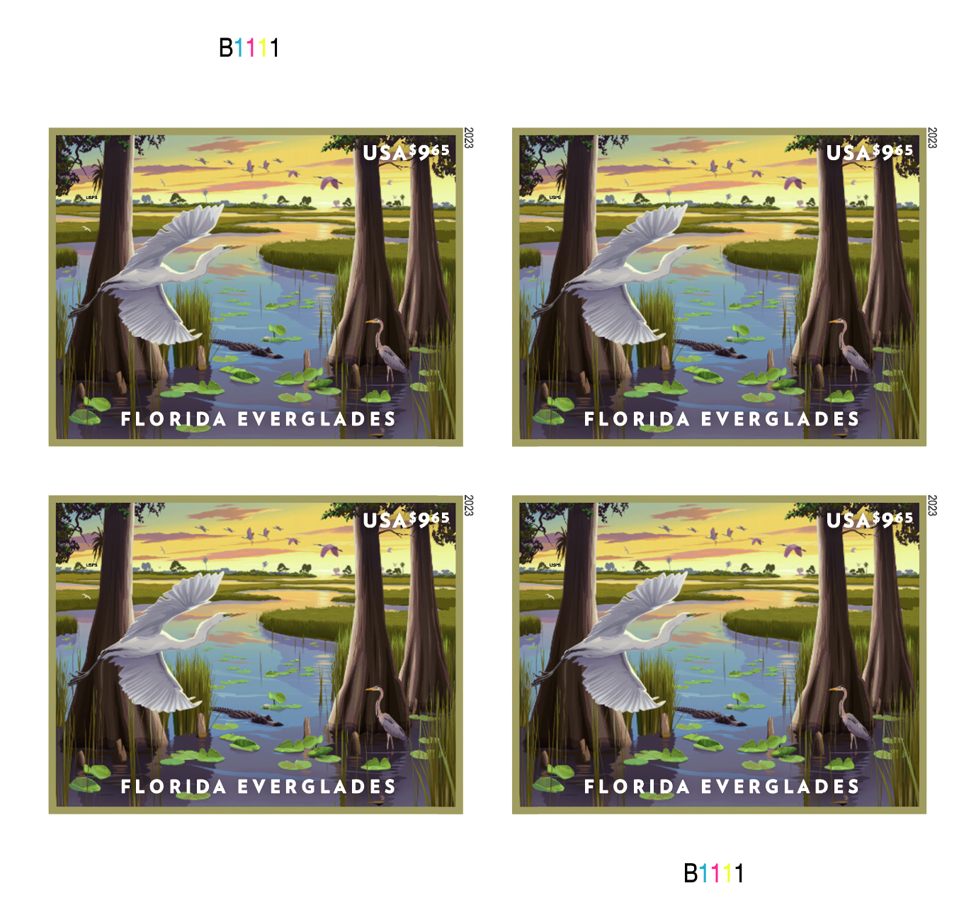 2023 Florida Everglades