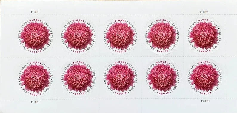 2020 Global Pink Chrysanthemum International