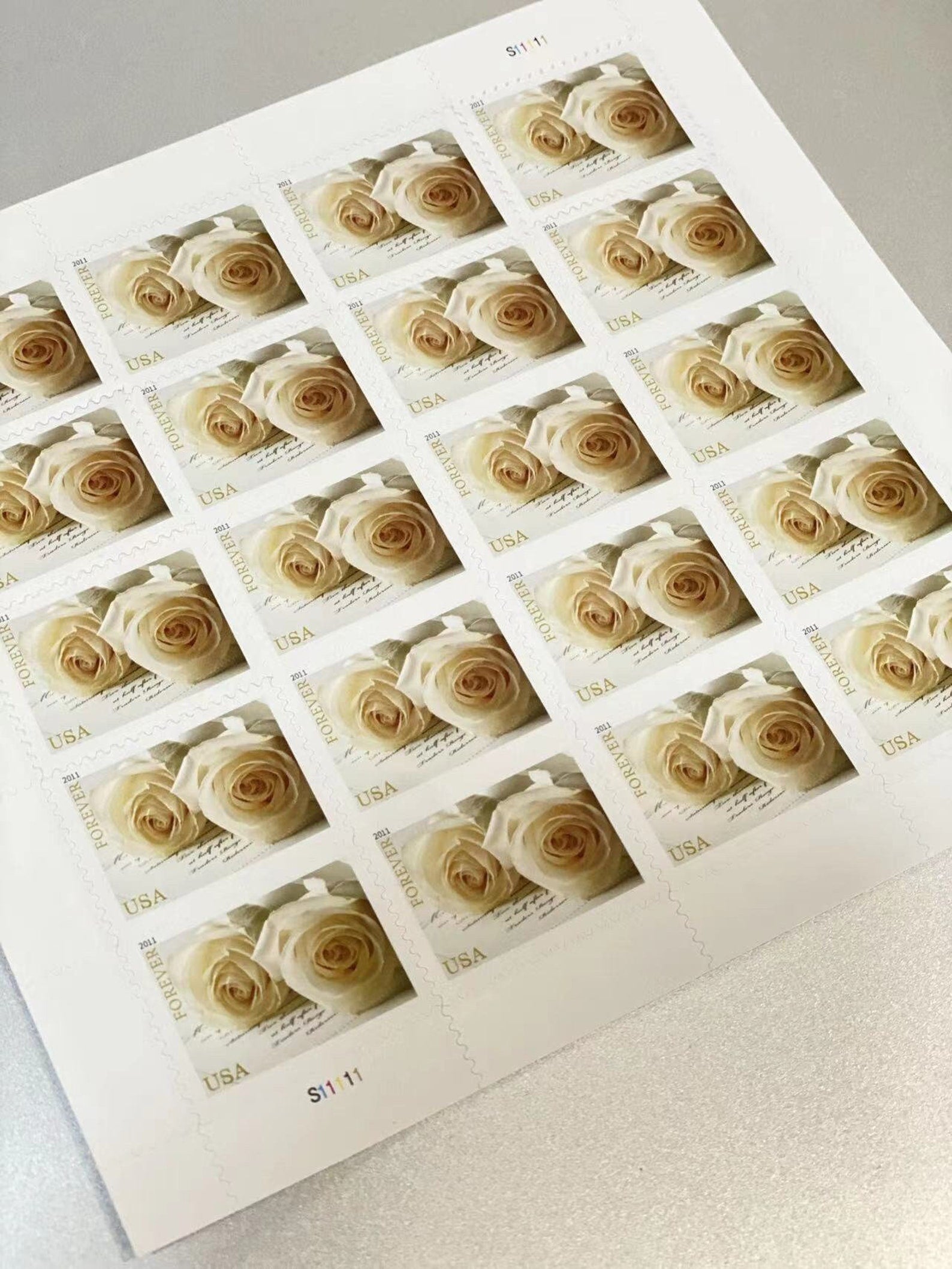 Wedding Roses (2011)