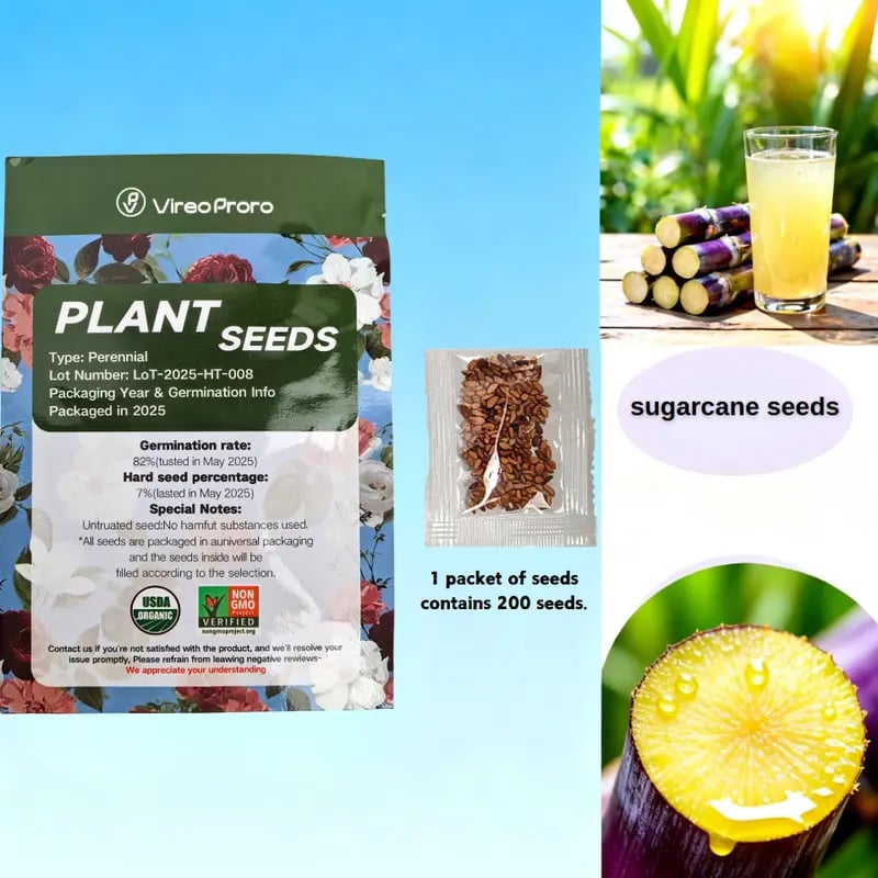 🔥Hot Sale Promotion 49% OFF🎁✨Fresh Sweet with Mellow Aftertaste ! High-Yield Sugarcane Seeds - Easy to Survive & Grow, Perfect for Home Fruit Planting