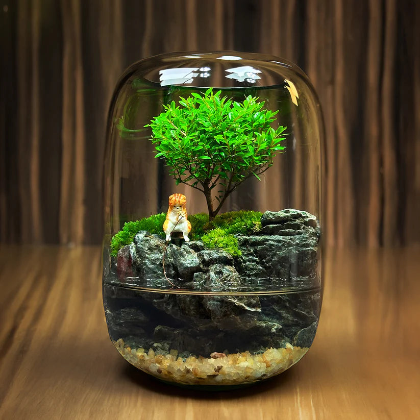 LushVista - Έκθεση Τοπίου με Βρύα