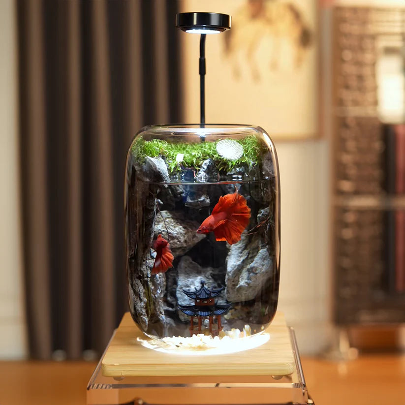 LushVista - Έκθεση Τοπίου με Βρύα