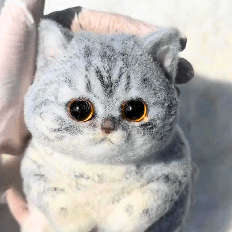 Παιχνίδι για γάτες