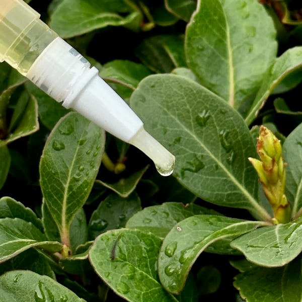 KeraStrong - Το Ελιξίριο Αναδόμησης Νυχιών - 50% ΕΚΠΤΩΣΗ