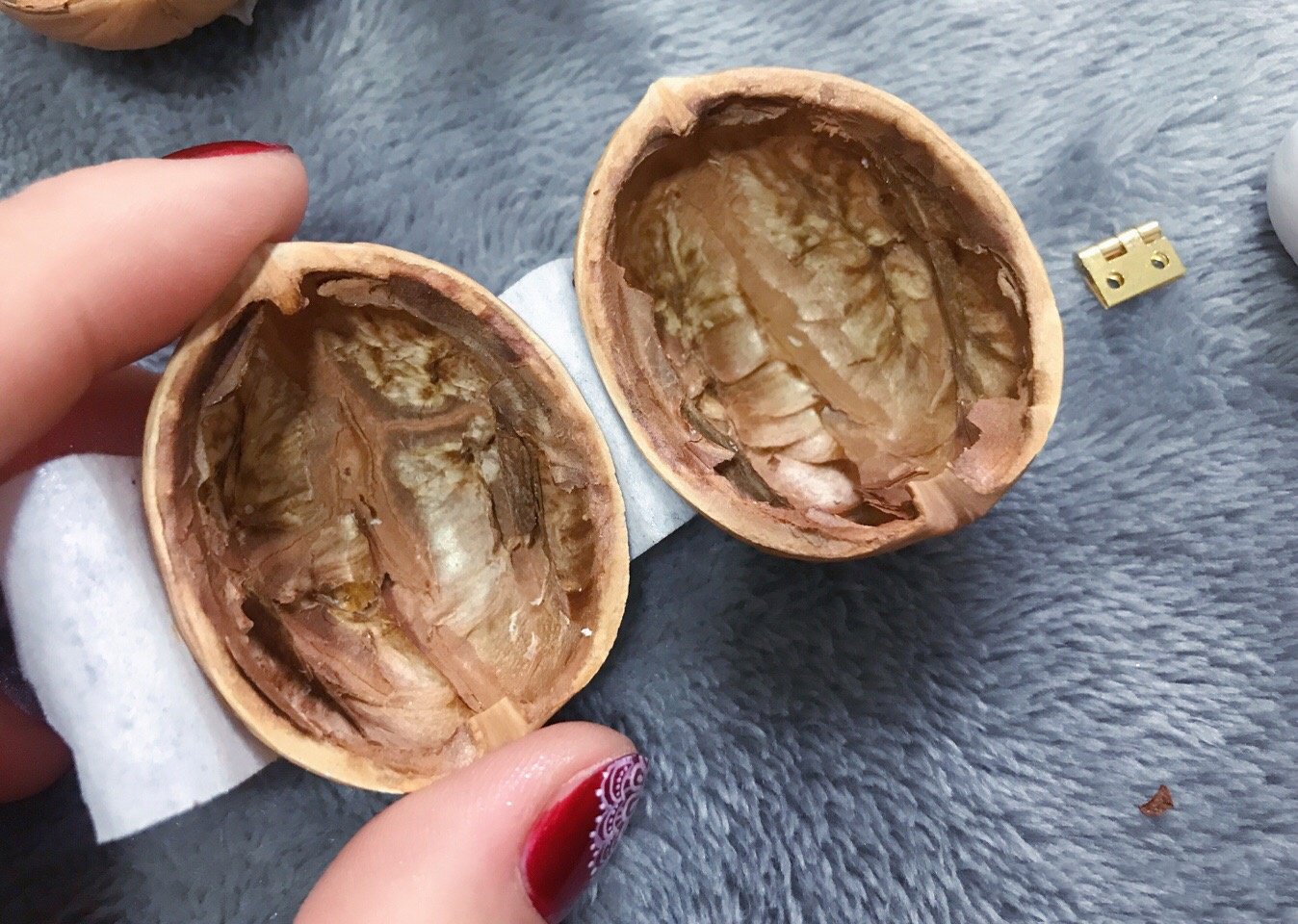 🌟ΝΕΟ🌟ΚΑΥΤΕΣ ΠΡΟΣΦΟΡΕΣ🏠Χειροποίητο Κουκλόσπιτο από Κέλυφος Καρυδιάς--μικρή βιβλιοθήκη, μικροσκοπικός Κόσμος μέσα σε καρύδια