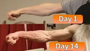 Ενισχυτικό πρόσφυσης