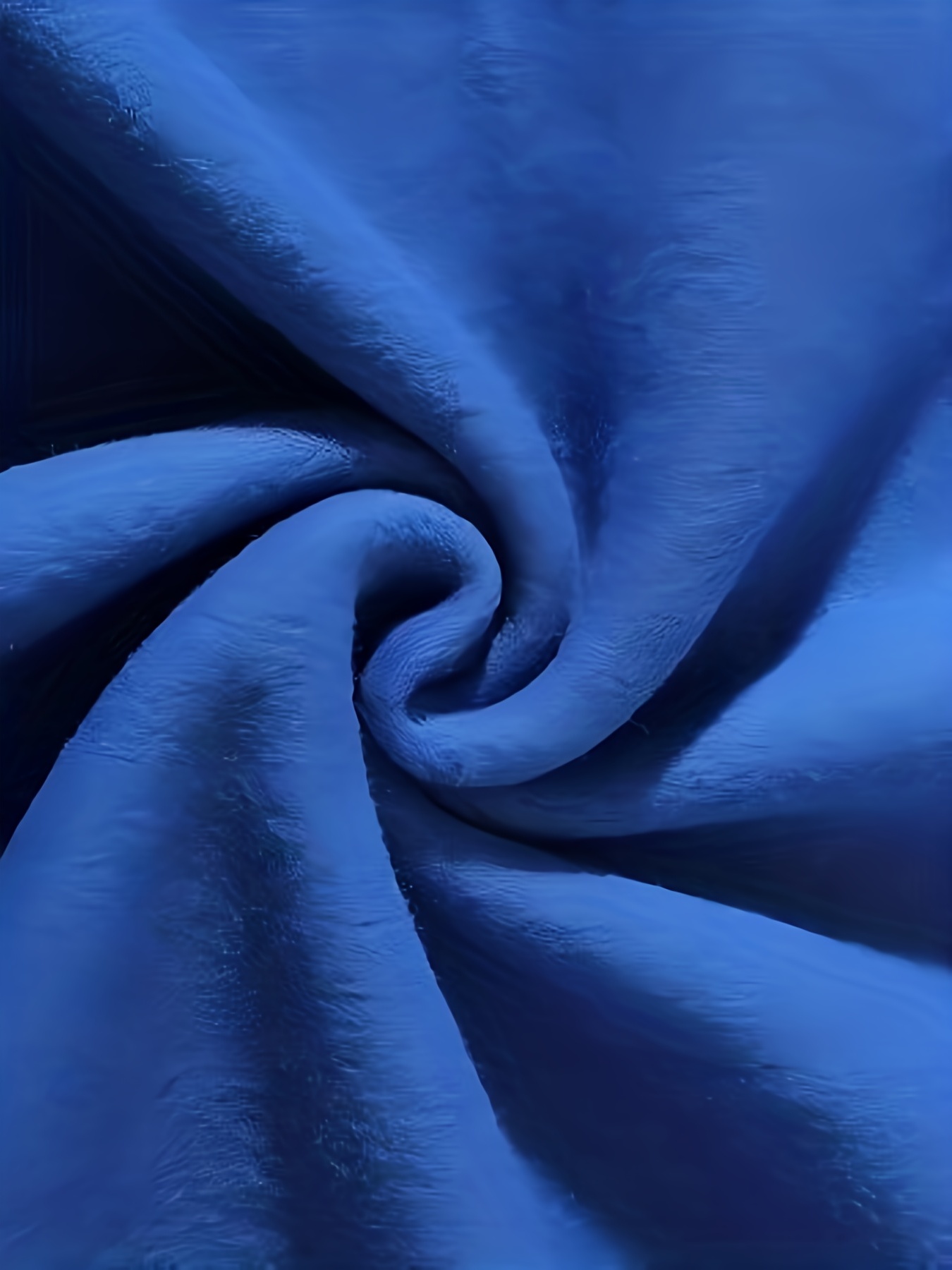 cow letter print pullover sweatshirt casual long sleeve crew neck sweatshirt for fall winter womens clothing details 6