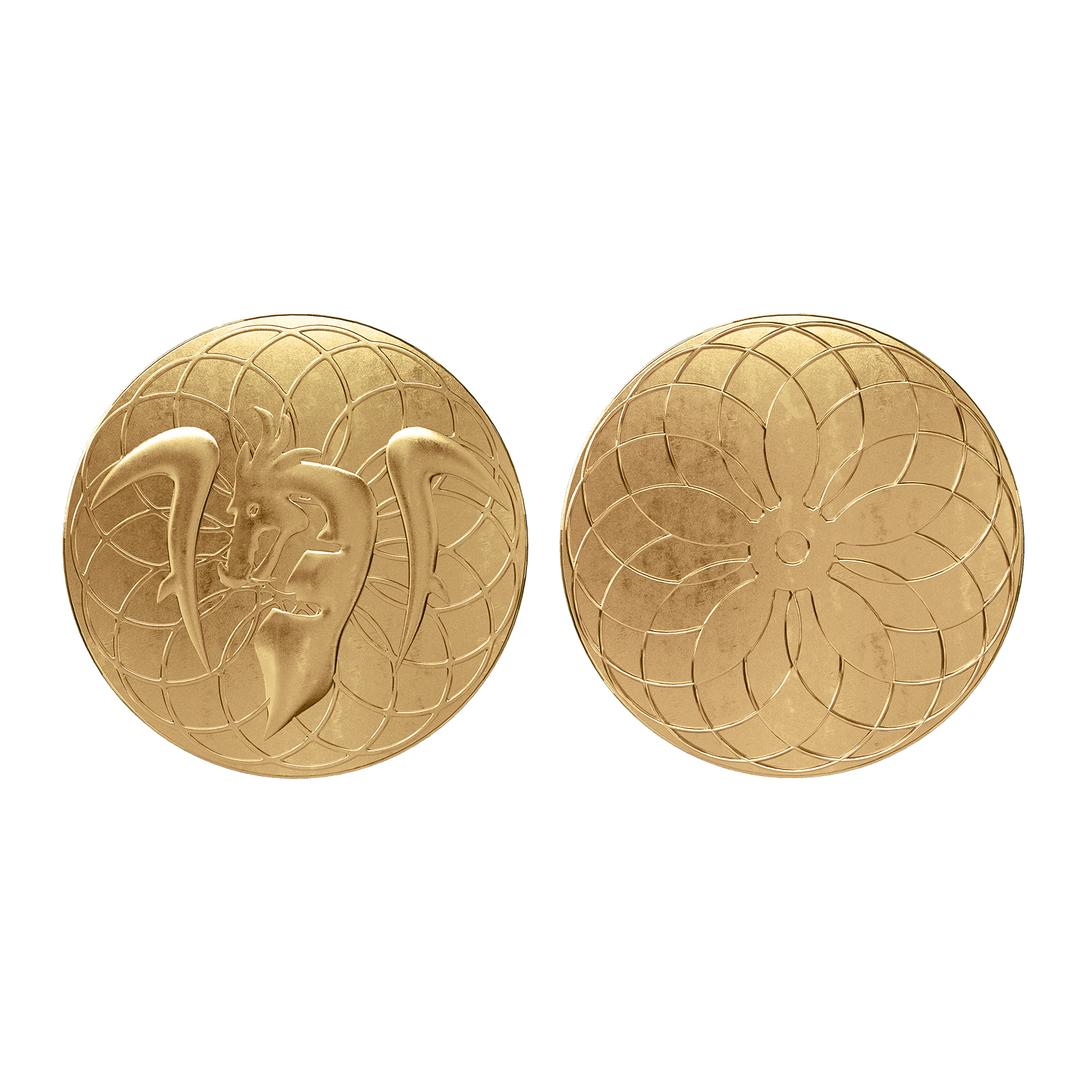 Byhoo 10 PCS Metal Fantasy Coins,Customizable Game Tokens for DND, RPG, Tabletop Roleplay, Challenge Coins, Collectibles & Gift Ideas, Bulk Order Available