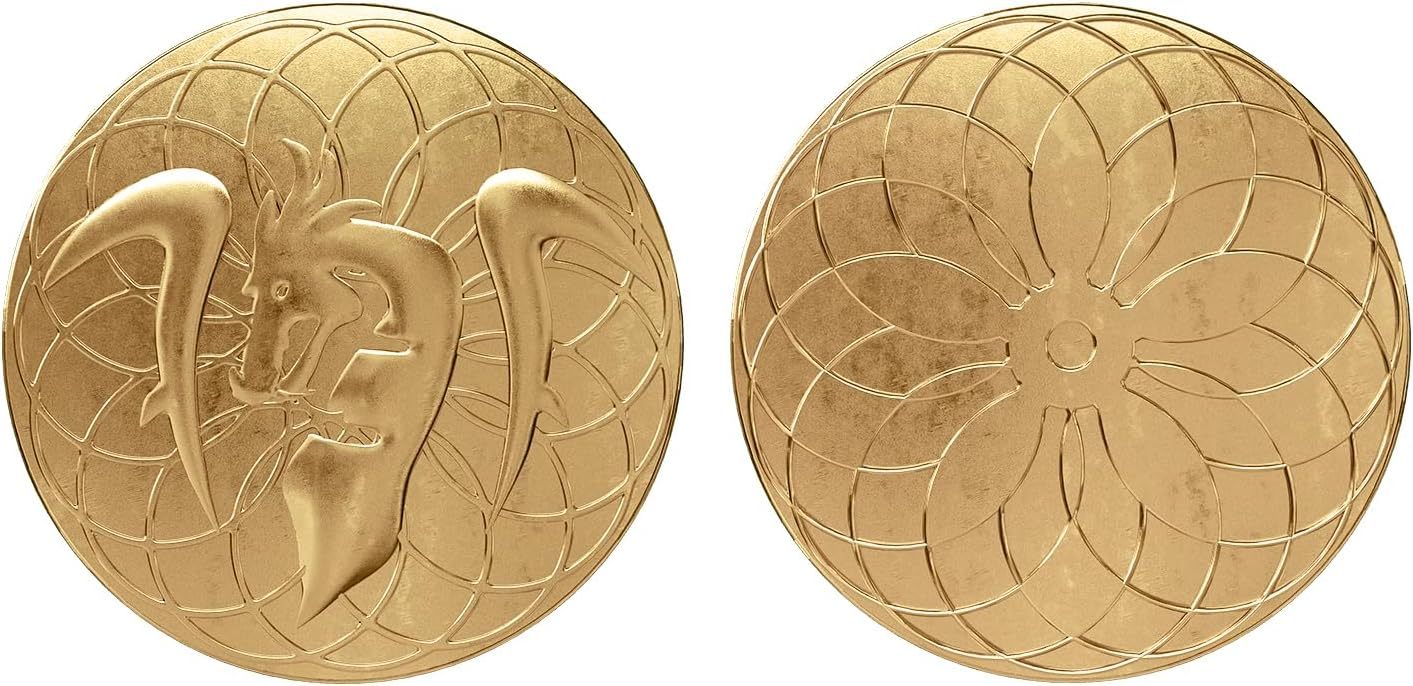 Byhoo 10 PCS Metal Fantasy Coins,Customizable Game Tokens for DND, RPG, Tabletop Roleplay, Challenge Coins, Collectibles & Gift Ideas, Bulk Order Available