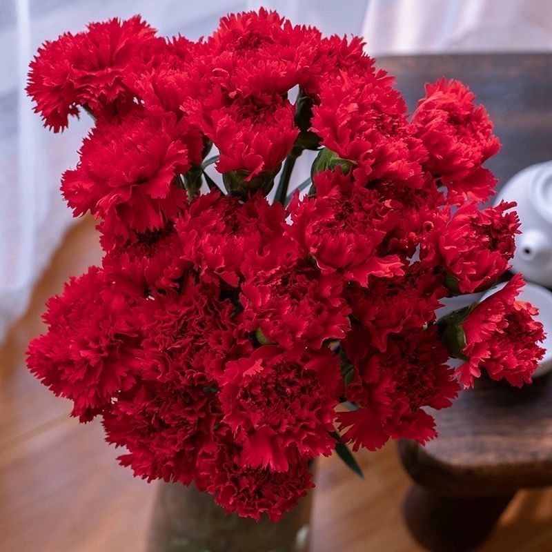 Carnation Chabaud Mix 10 Colors Dianthus Seeds