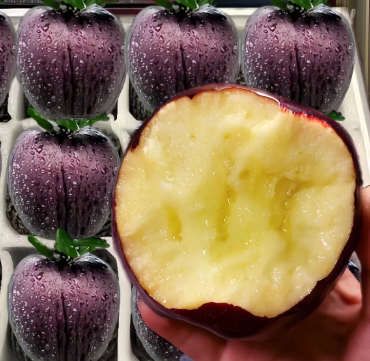 🍎Rare Black Diamond Apple Seeds