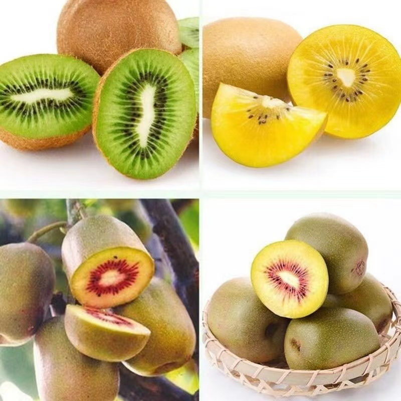 🥝❤️Red Heart Kiwi Seeds